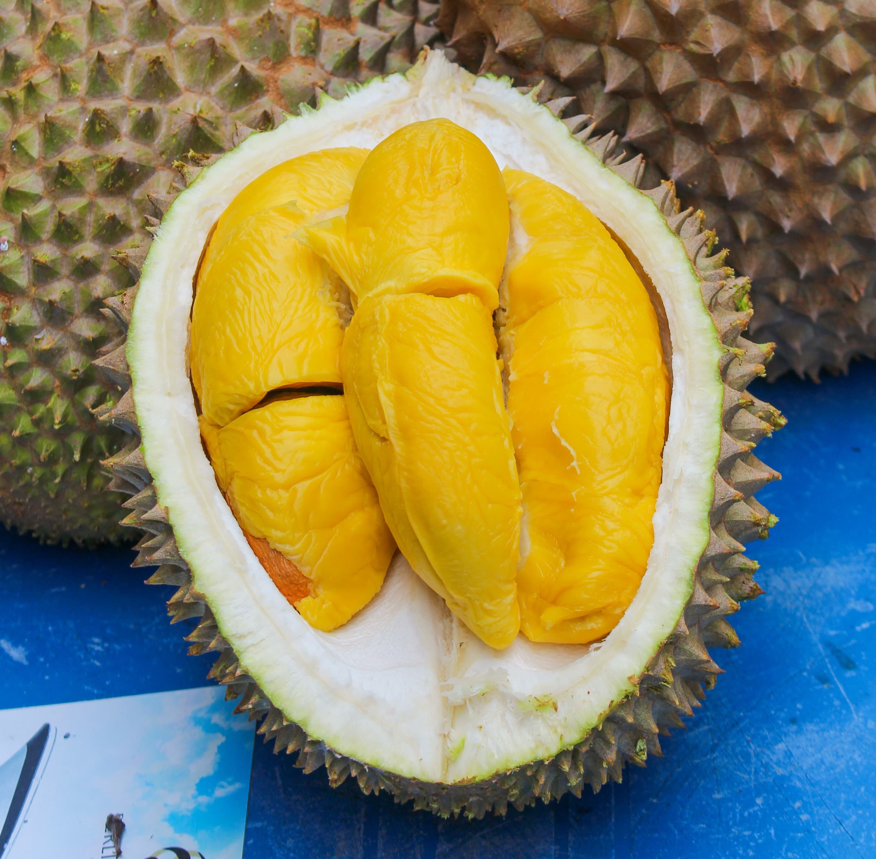 Musang King (MSW)